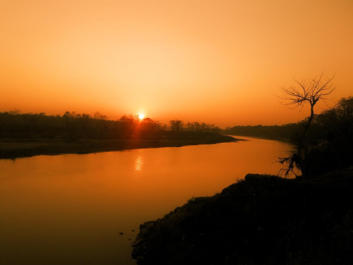 River Park Retreat Sauraha Zewnętrze zdjęcie